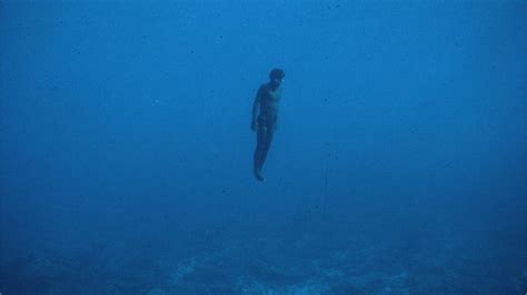 dive into anything nude|diving Search